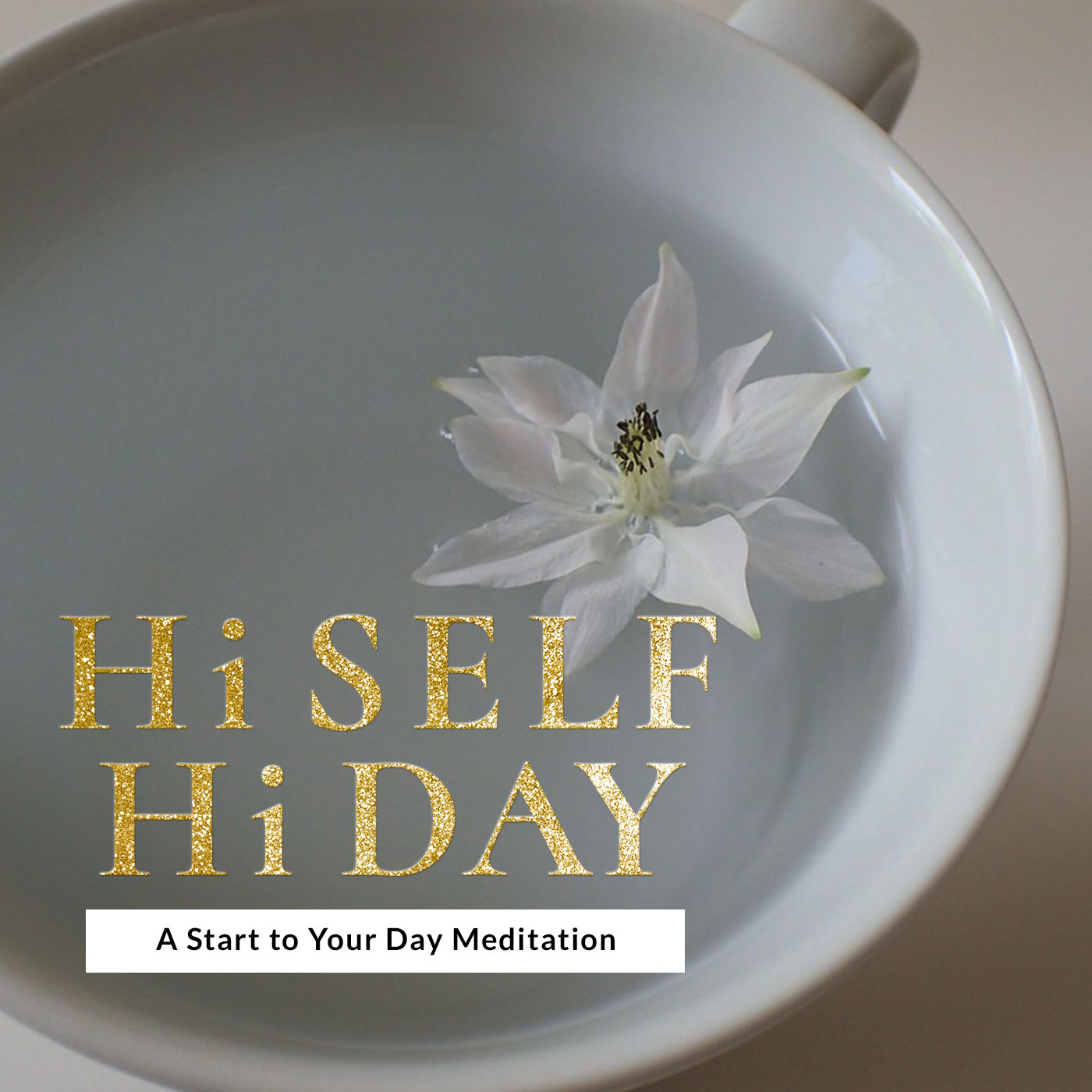 Bookings | i am april rucker